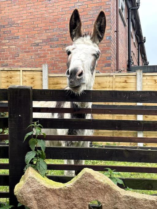 4 Bedroom - Sleep 9 Home In Cheadle Staffordshire - Alton Towers Polar Express Dimmingsdale Peak District Trentham Gardens Water World מראה חיצוני תמונה